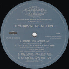 Load image into Gallery viewer, 13th Floor Elevators : We Are Not Live (LP, Album, RSD, Mono, RE)
