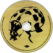 Load image into Gallery viewer, Noah Kahan : The Great Divide (CD, Album)

