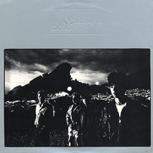 Load image into Gallery viewer, Echo &amp; The Bunnymen : Bedbugs And Ballyhoo (12", Single)
