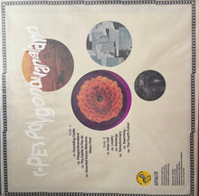 Load image into Gallery viewer, King Gizzard And The Lizard Wizard : Polygondwanaland (LP, S/Edition, rPE)
