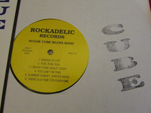 Load image into Gallery viewer, Sugar Cube Blues Band : Sugar Cube Blues Band (LP, Album)
