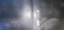 Load image into Gallery viewer, Ariana Grande : Petal (LP, Album, Tra)

