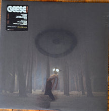 Load image into Gallery viewer, Geese (11) : Projector (LP, Ltd, Ora)
