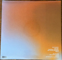 Load image into Gallery viewer, Geese (11) : Projector (LP, Ltd, Ora)
