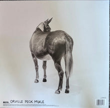 Laden Sie das Bild in den Galerie-Viewer, Orville Peck : Mule (LP, Album, Ltd, Tra)
