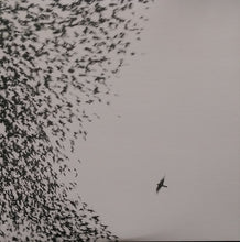 Load image into Gallery viewer, Wilco : Sky Blue Sky (2xLP, Album + CD, Promo, Smplr)
