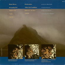 Load image into Gallery viewer, Bel Canto : White-Out Conditions (LP, Album)
