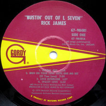 Charger l'image dans la galerie, Rick James : Bustin' Out Of L Seven (LP, Album)

