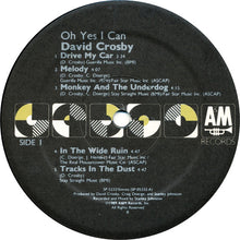 Laden Sie das Bild in den Galerie-Viewer, David Crosby : Oh Yes I Can (LP, Album)

