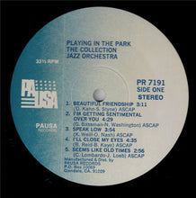 Load image into Gallery viewer, Pete Petersen &amp; The Collection Jazz Orchestra : Playin' In The Park (LP, Album)
