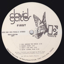 Laden Sie das Bild in den Galerie-Viewer, David Gates : First (LP, Album, Promo)
