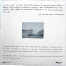Load image into Gallery viewer, The Mountain Goats : All Hail West Texas (LP, Album, RE, RM)
