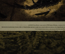 Charger l'image dans la galerie, David Bowie : Never Let Me Down (LP, Album, Club)
