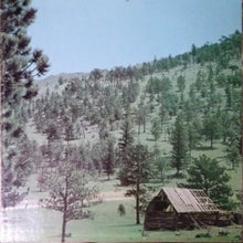 Load image into Gallery viewer, Joe Walsh : Barnstorm (LP, Album, Ter)
