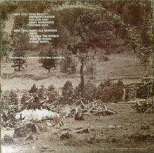 Load image into Gallery viewer, Joe Walsh : Barnstorm (LP, Album, Ter)
