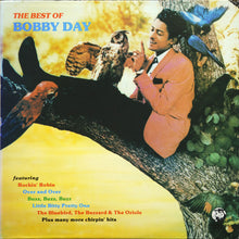 Load image into Gallery viewer, Bobby Day : The Best Of Bobby Day (LP, Comp)
