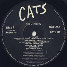 Laden Sie das Bild in den Galerie-Viewer, Andrew Lloyd Webber : Cats (2xLP)
