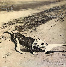 Load image into Gallery viewer, Phoebe Snow : Never Letting Go (LP, Album, Promo)
