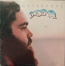 Load image into Gallery viewer, B.W. Stevenson : Calabasas (LP, Album, Hol)
