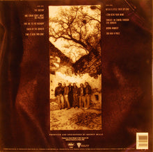 Laden Sie das Bild in den Galerie-Viewer, The Doobie Brothers : Cycles (LP, Album)
