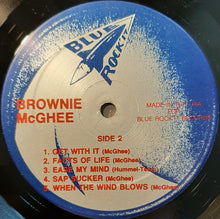 Load image into Gallery viewer, Brownie McGhee : Facts Of Life (LP)
