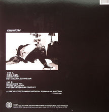 Charger l'image dans la galerie, Gary Wilson : Newark Valley (12")
