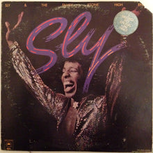 Load image into Gallery viewer, Sly &amp; The Family Stone : High Energy (2xLP, Comp, Promo, Pit)
