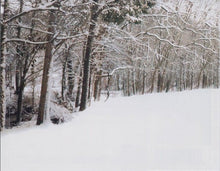 Load image into Gallery viewer, Vince Gill With Patrick Williams And His Orchestra : Breath Of Heaven: A Christmas Collection (HDCD, Album, RE)
