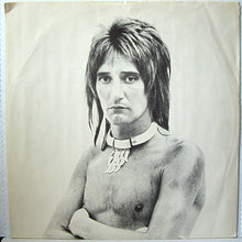 Charger l'image dans la galerie, Rod Stewart : A Night On The Town (LP, Album, Jac)
