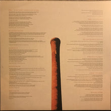 Load image into Gallery viewer, The Postal Service : Give Up (LP, Album, RE, RM)
