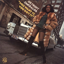 Charger l'image dans la galerie, Detroit Emeralds : You Want It, You Got It (LP, Album, Pit)
