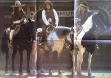 Load image into Gallery viewer, Jimi Hendrix Experience* : Smash Hits (LP, Comp)
