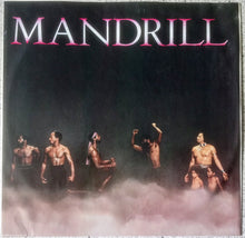 Charger l&#39;image dans la galerie, Mandrill : New Worlds (LP, Album)
