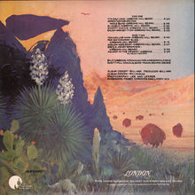 Laden Sie das Bild in den Galerie-Viewer, ZZ Top : Tejas (LP, Album, RIc)
