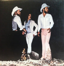 Laden Sie das Bild in den Galerie-Viewer, ZZ Top : Tejas (LP, Album, RIc)
