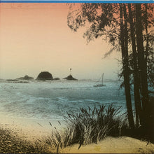Load image into Gallery viewer, David Gilmour : On An Island (LP, Album)
