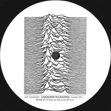 Charger l'image dans la galerie, Joy Division : Unknown Pleasures (LP, Album, RE, RM, 180)
