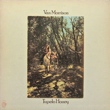 Charger l'image dans la galerie, Van Morrison : Tupelo Honey (LP, Album, San)
