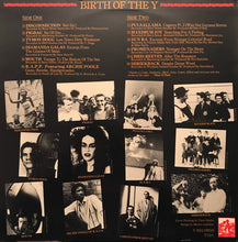 Load image into Gallery viewer, Various : Birth Of The Y (LP, Comp)
