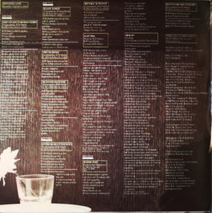 Al Di Meola : Splendido Hotel (2xLP, Album, Ter)