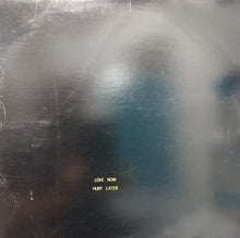 Laden Sie das Bild in den Galerie-Viewer, Ann Joy : Love Now Hurt Later (12", RE)
