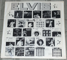 Load image into Gallery viewer, Elvis Presley : Roustabout (LP, Album, RE)

