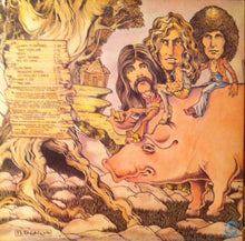 Charger l'image dans la galerie, Black Oak Arkansas : High On The Hog (LP, Album, RI )
