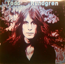 Load image into Gallery viewer, Todd Rundgren : Hermit Of Mink Hollow (LP, Album, Los)
