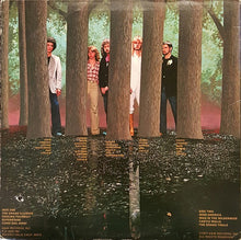 Load image into Gallery viewer, Styx : The Grand Illusion (LP, Album, Ter)
