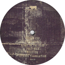 Load image into Gallery viewer, M. Ward : Post-War (LP, Album)
