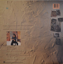 Load image into Gallery viewer, Don McLean : Greatest Hits - Then &amp; Now (LP, Comp)
