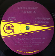 Load image into Gallery viewer, Rick James : Garden Of Love (LP, Album)
