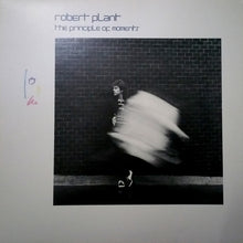 Load image into Gallery viewer, Robert Plant : The Principle Of Moments (LP, Album, SP )
