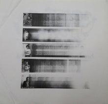 Load image into Gallery viewer, Robert Plant : The Principle Of Moments (LP, Album, SP )
